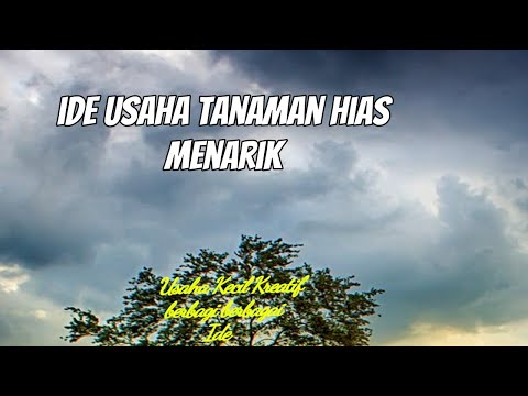 Syarat Utama Menjalankan Ide Usaha Tanaman Hias