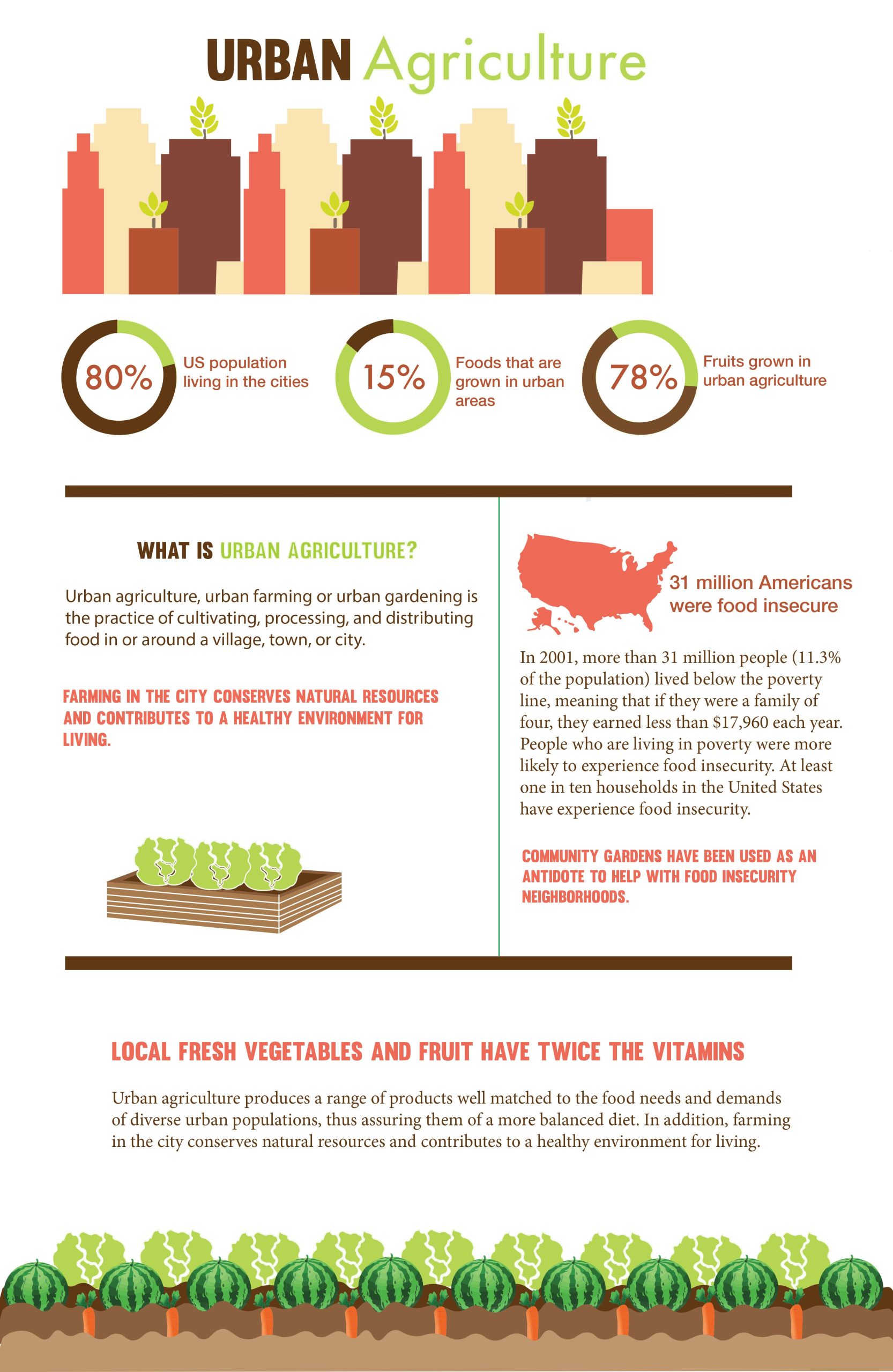 Manfaat Kesehatan Urban Farming: Lebih dari Sekadar Makanan Segar
