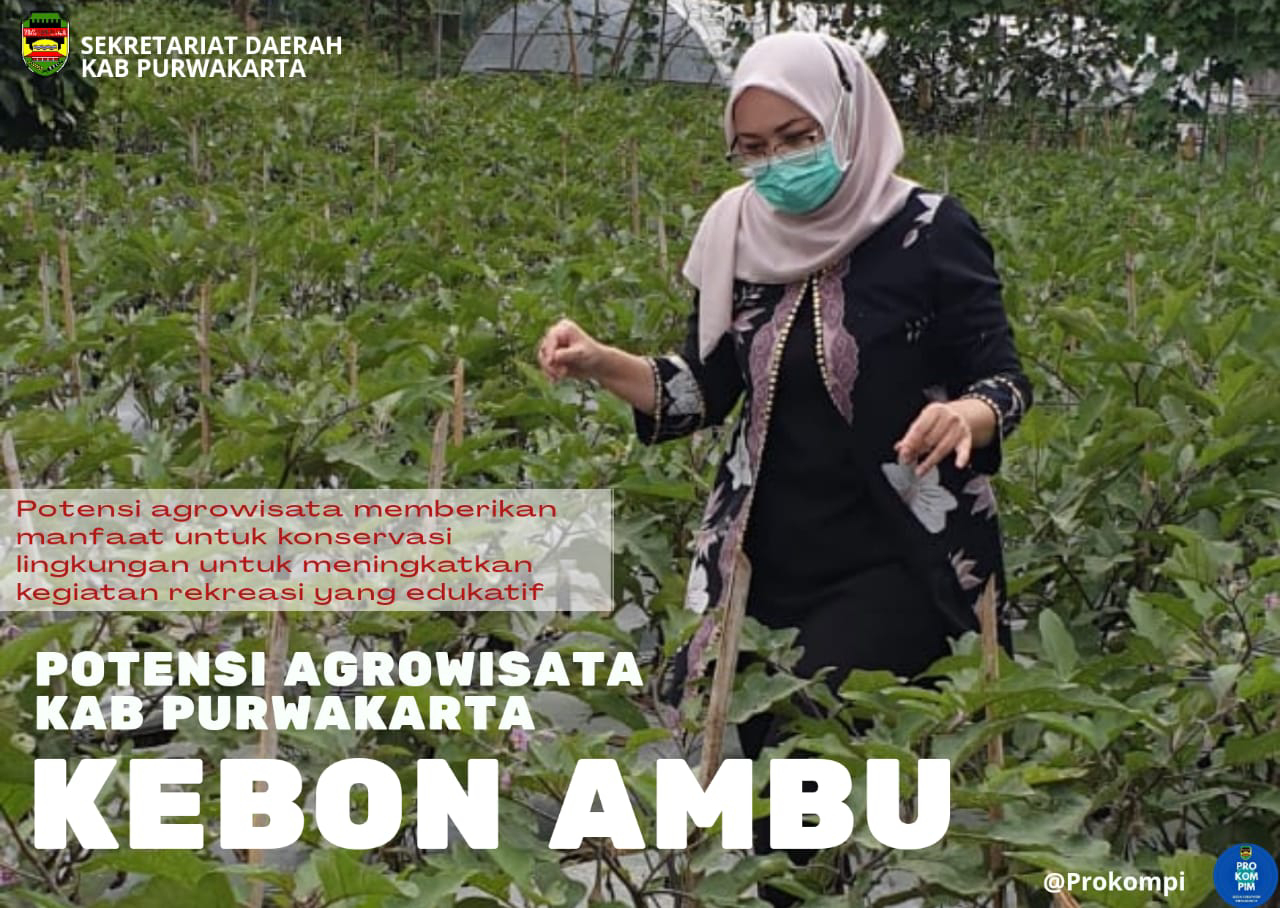 Agrowisata Kebon Kito Lubuklinggau: Menawarkan Pengalaman Bertani dan Rekreasi