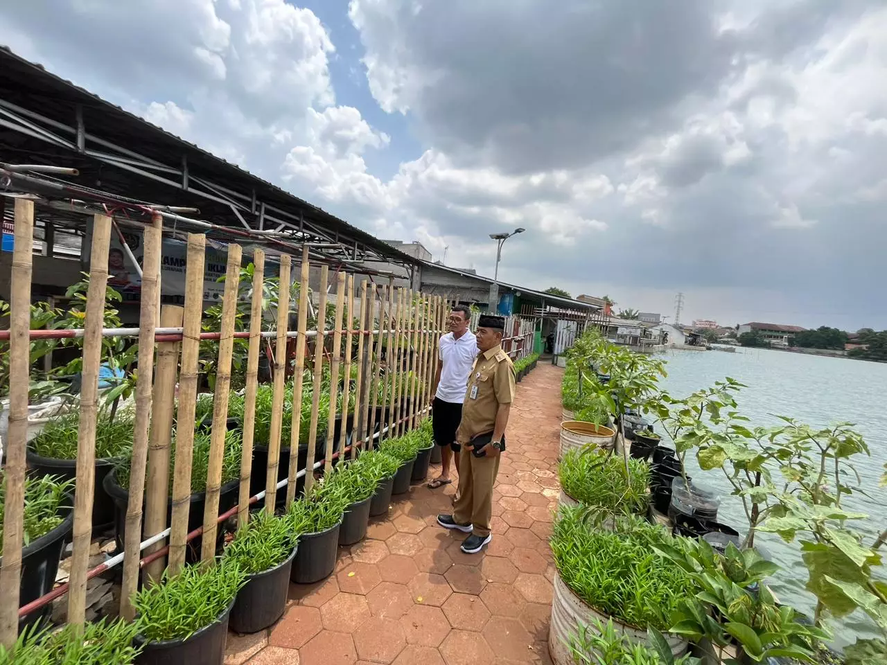 Urban Farming: Kunci Ketahanan Pangan di Tengah Kota?