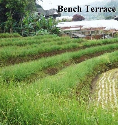 Urban Farming di Jogja: Solusi Pangan dan Gaya Hidup Berkelanjutan?