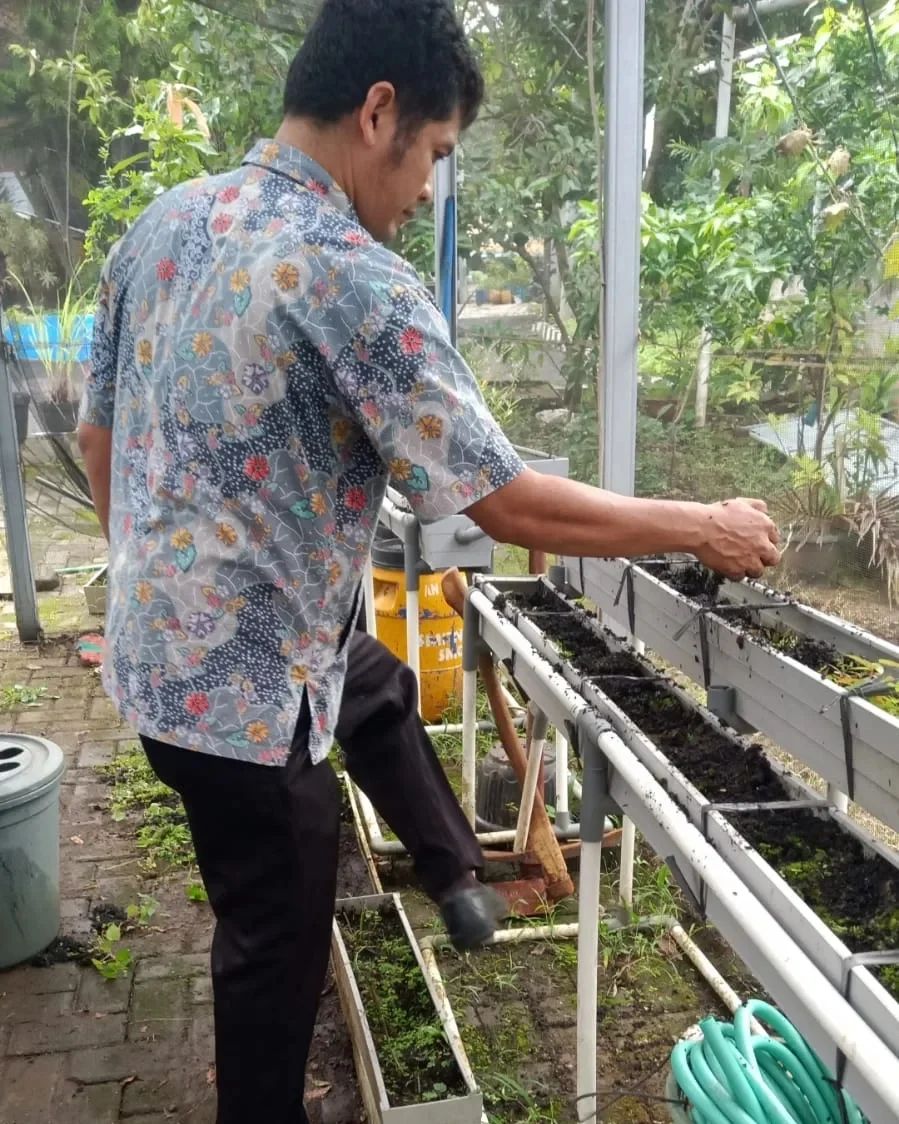 Urban Farming SMP 33 Semarang: Sekolah Hijau di Tengah Kota
