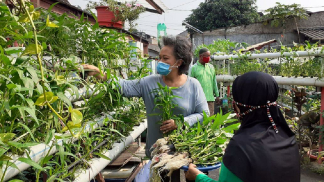Urban Farming: Solusi Ketahanan Pangan di Tengah Urbanisasi?