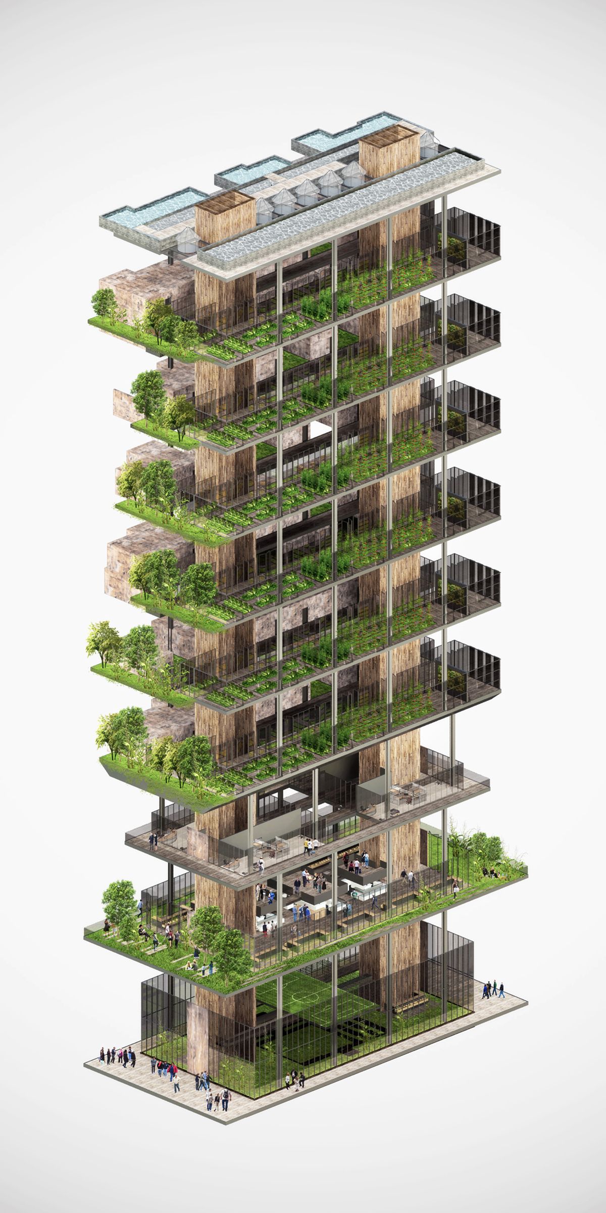 Urban Farming di Kuala Lumpur: Solusi atau Sekadar Tren?