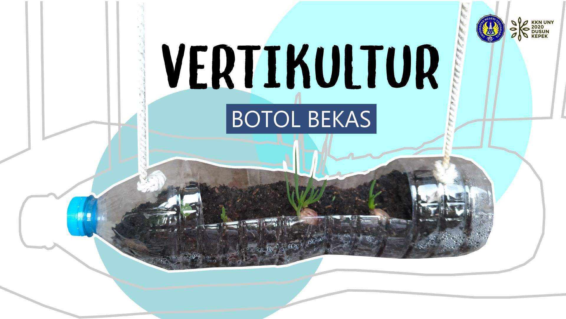 Vertikultur Botol Bekas: Solusi Hijau di Lahan Sempit?