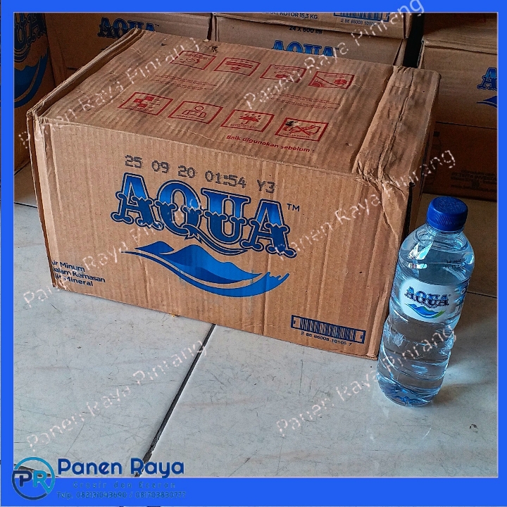 Ecobrick Botol 600 ml: Solusi atau Sekadar Penundaan Masalah Sampah?