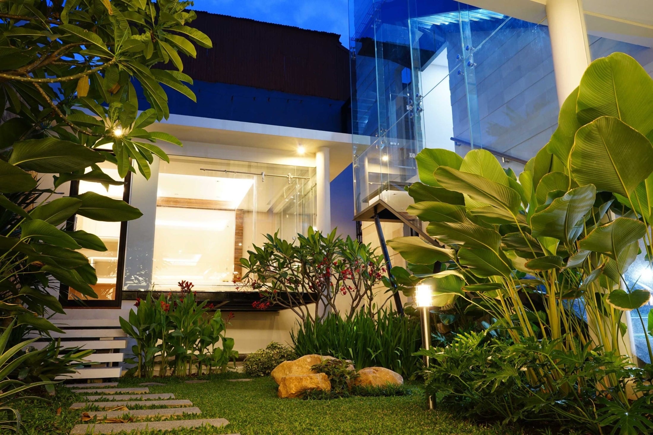 Tanaman Ideal untuk Mempercantik Belakang Rumah Anda