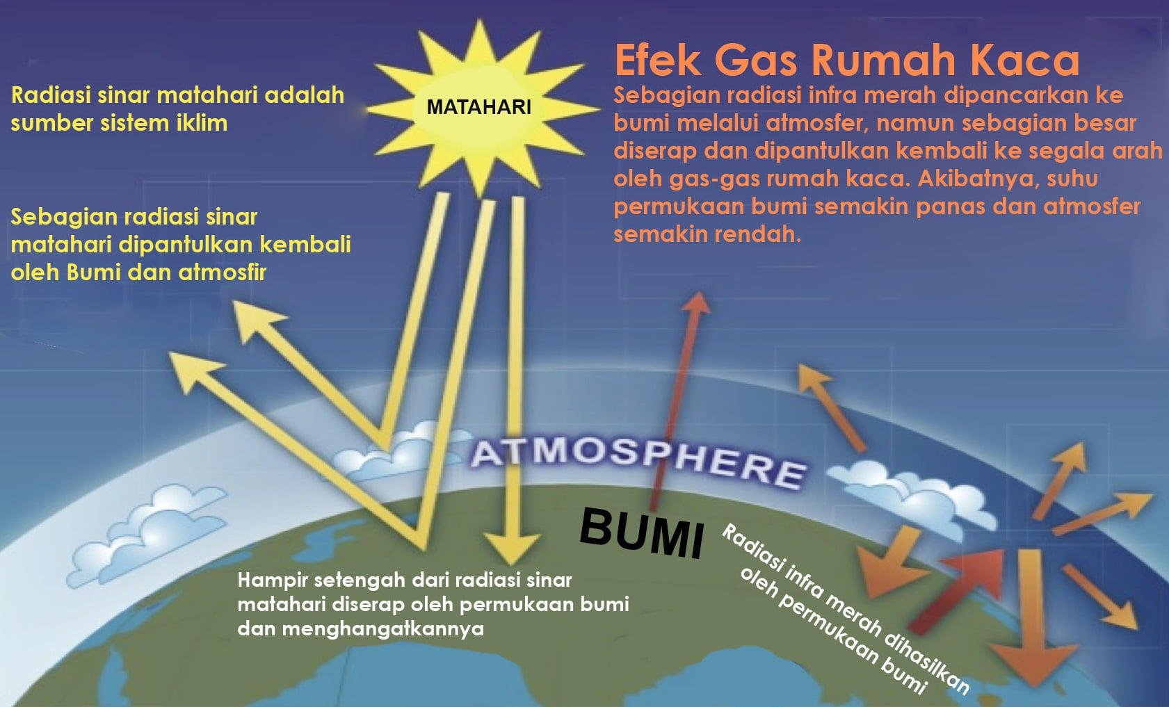 Tanaman Hias: Solusi Alami Reduksi Efek Rumah Kaca?