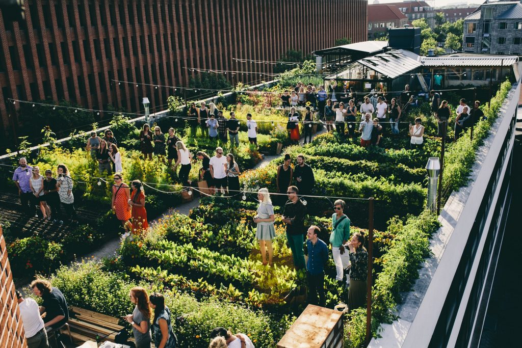 Urban Farming: Menghidupkan Rooftop dengan Kebun Produktif