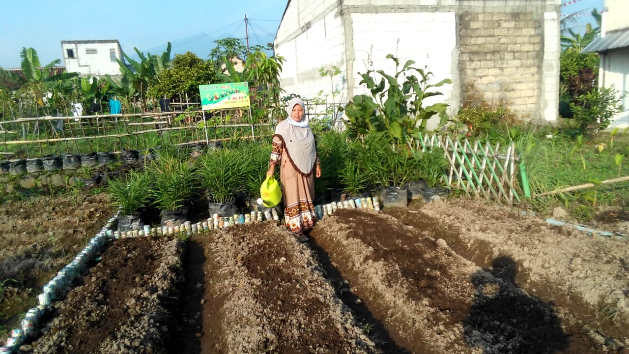 Urban Farming di Bogor: Solusi Pangan Lokal dan Ruang Hijau Kota?