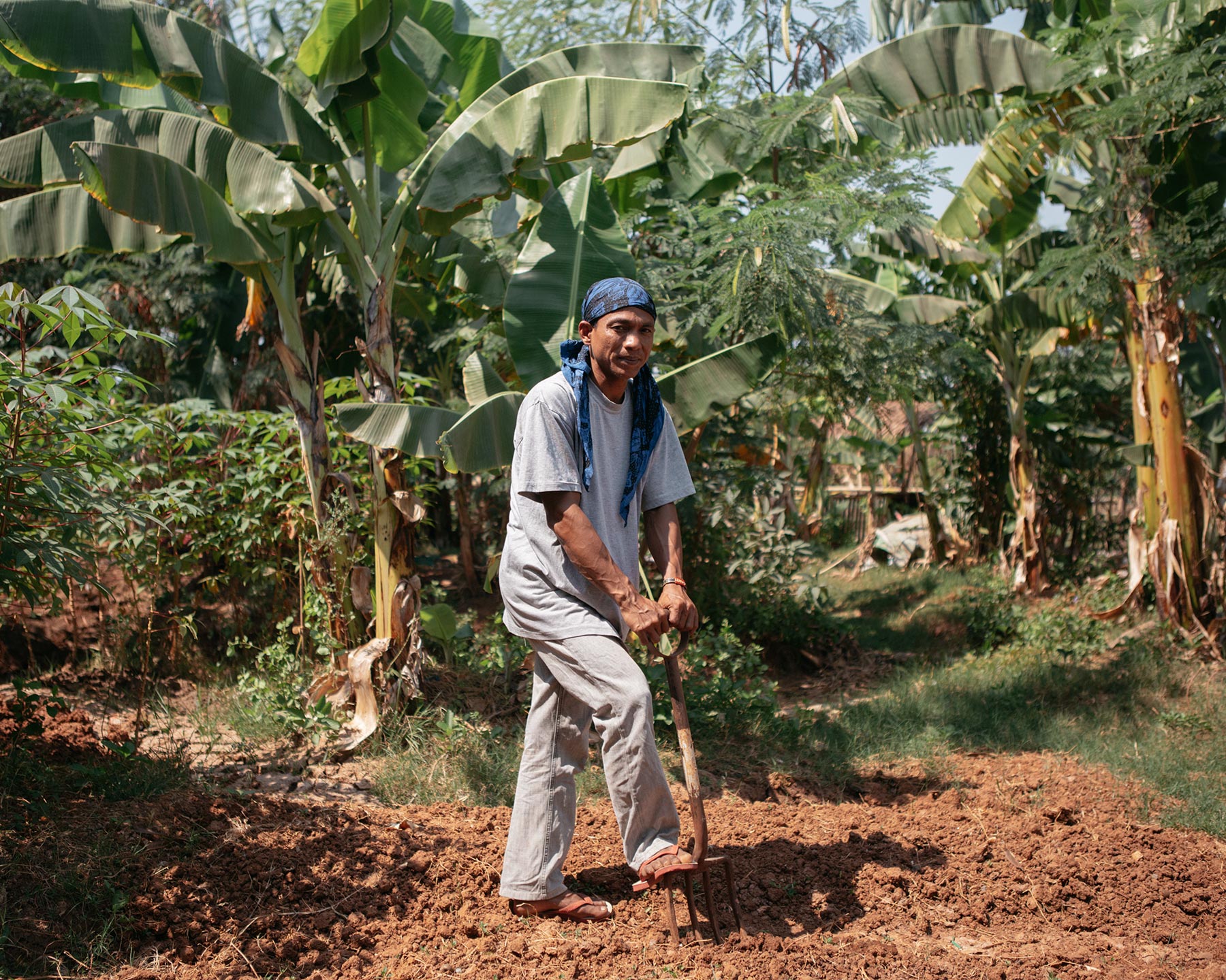 Duta Urban Farming Jakarta: Siapa Mereka dan Apa Perannya?