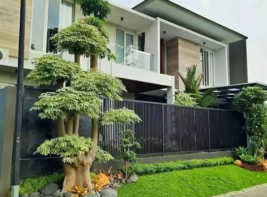 Tanaman Hias: Mempercantik Taman Rumah