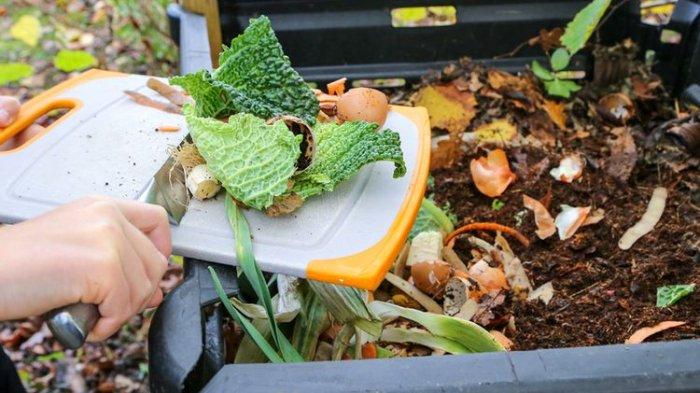 Bagaimana Kompos Meningkatkan Pertumbuhan Tanaman?