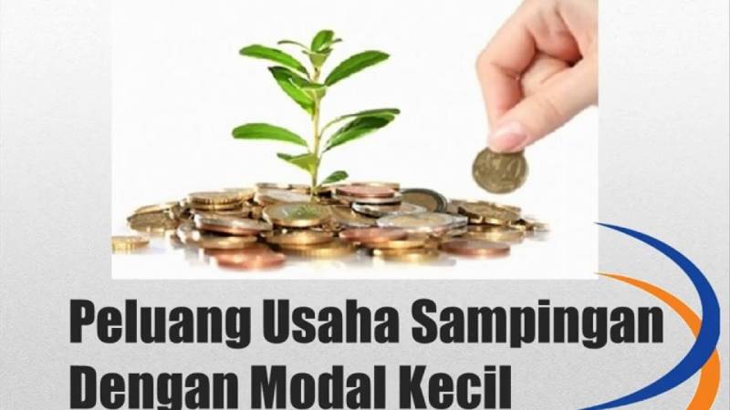 Usaha Tanaman Modal Kecil Menjanjikan?
