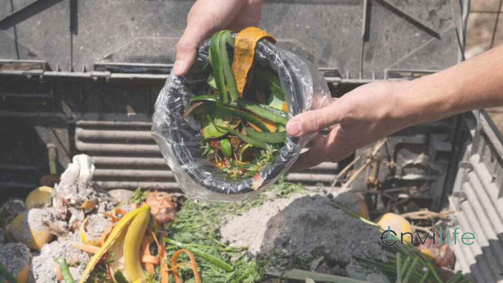Biogas dari Limbah Rumah Tangga: Potensi Energi Terbarukan di Dapur Anda?