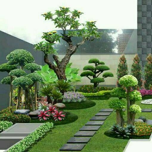 Tanaman Hias: Sentuhan Alam di Rumah Anda