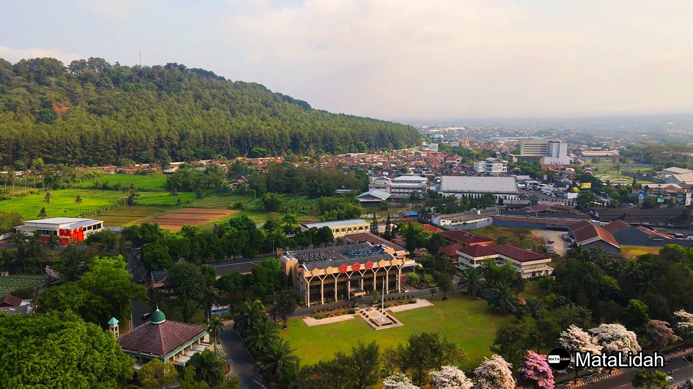 Kebun Binatang Magelang: Lebih dari Sekadar Koleksi Satwa?