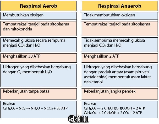 Aerob vs. Anaerob: Komposter Mana yang Lebih Baik?