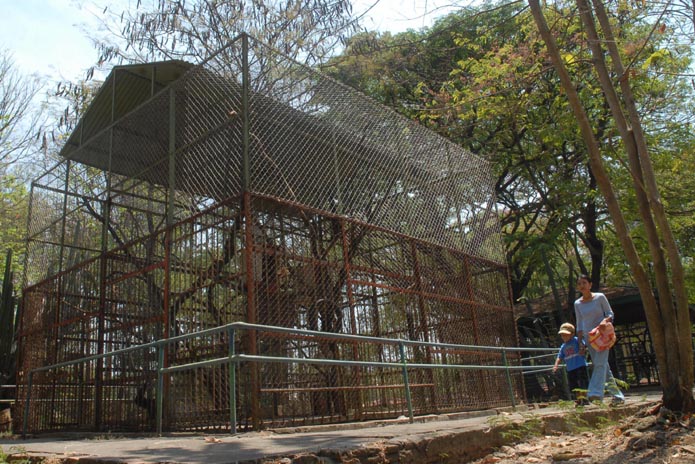 Kebun Binatang di Solo: Ada Apa Saja di Sana?