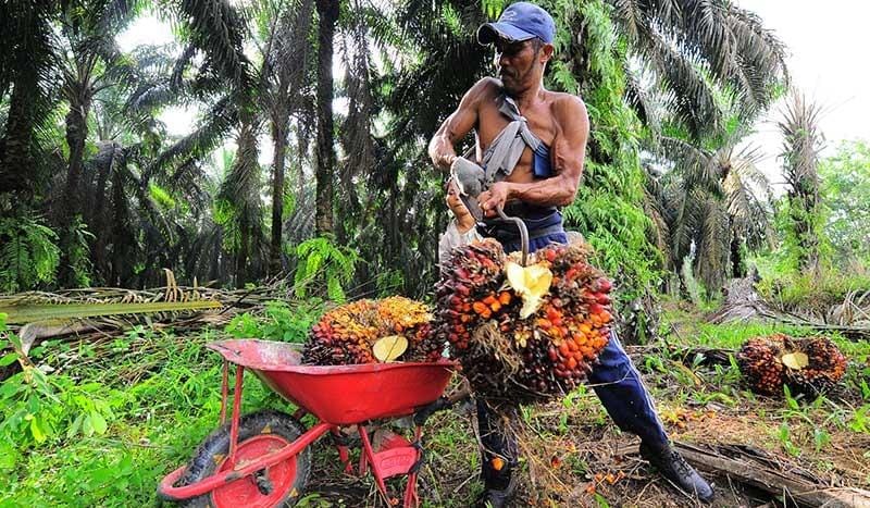HKBP Kebun Kelapa Kota Jambi: Sejarah, Komunitas, dan Peran Sosial