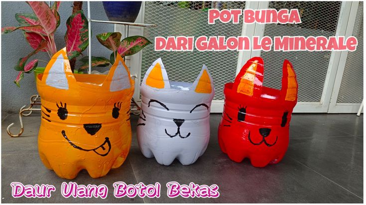 Pot Galon Gantung: Solusi Kreatif Berkebun di Ruang Terbatas?