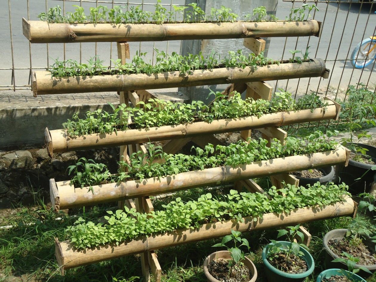 Vertikultur Media Tanah: Solusi Urban Farming Efektif?