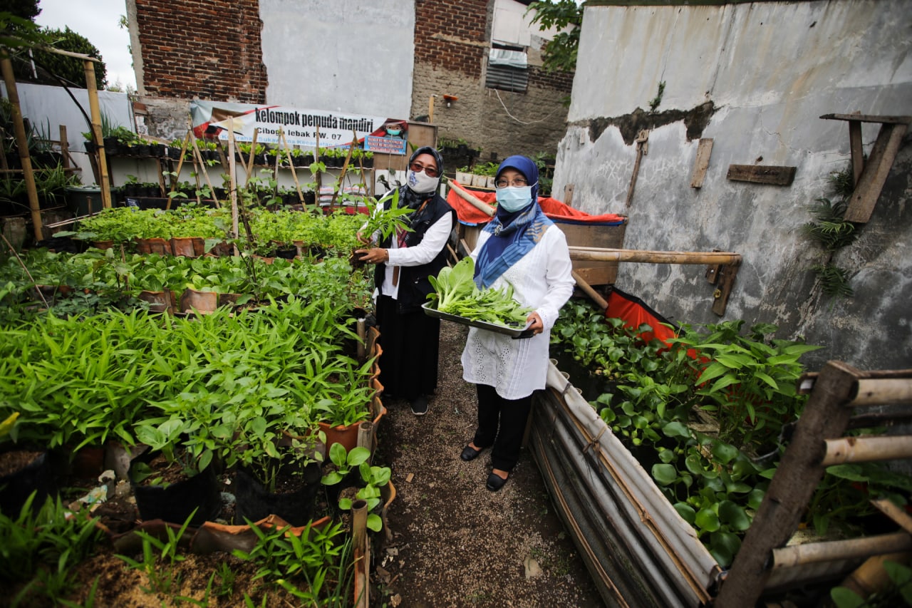 Urban Farming: Solusi Pangan dan Ruang Hijau Kota Bandung?