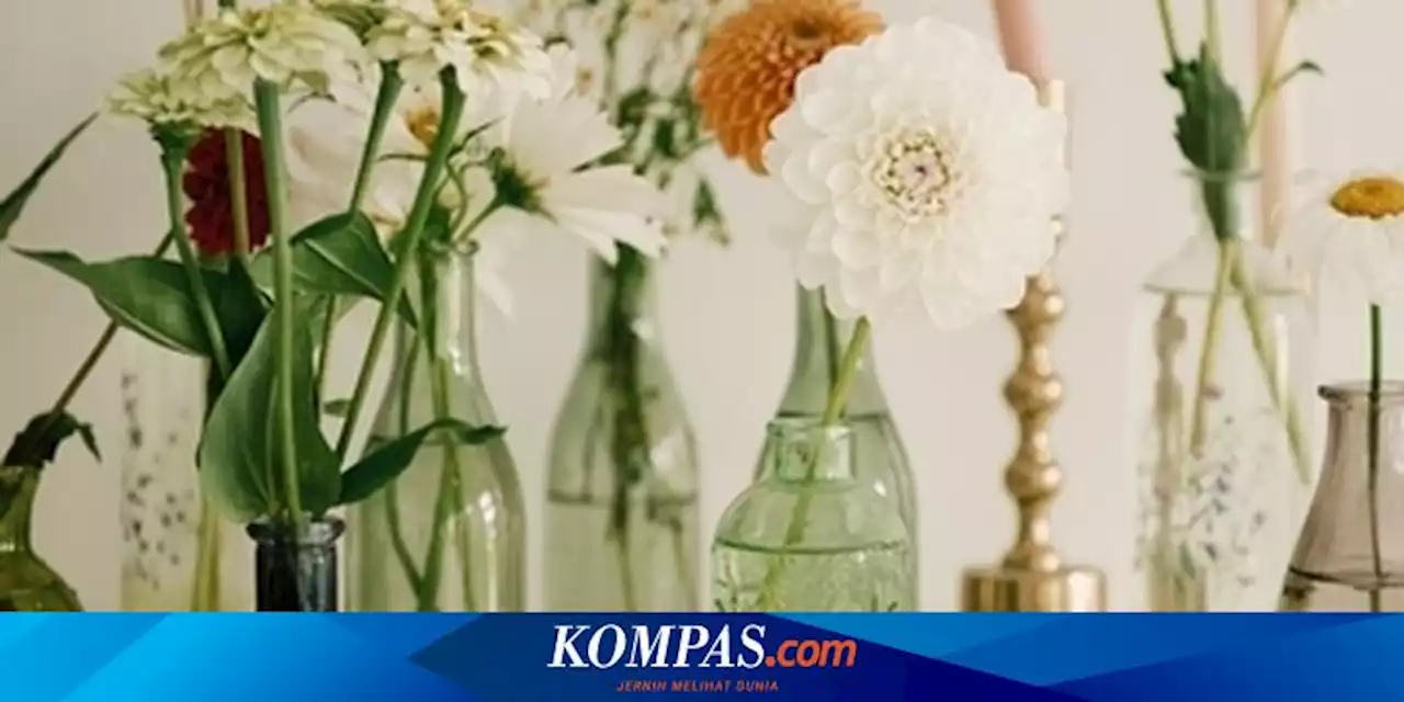 Daur Ulang Kaca: Proses, Manfaat, dan Tantangan