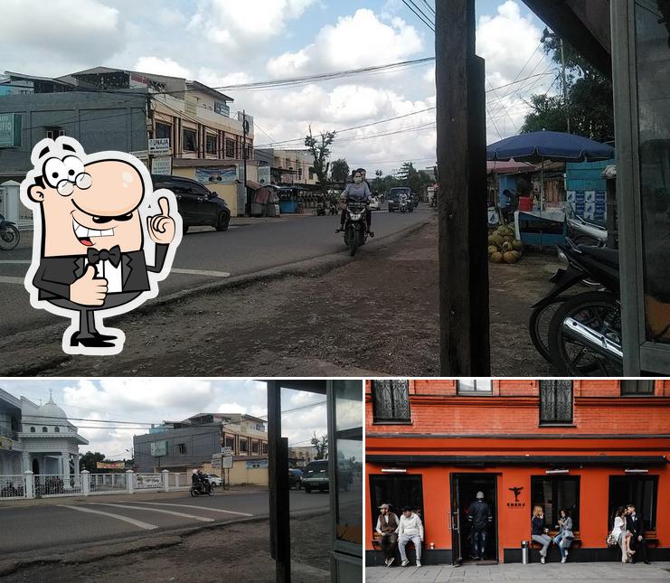 Kebun Kopi Kota Jambi: Potensi Tersembunyi di Tengah Kota?