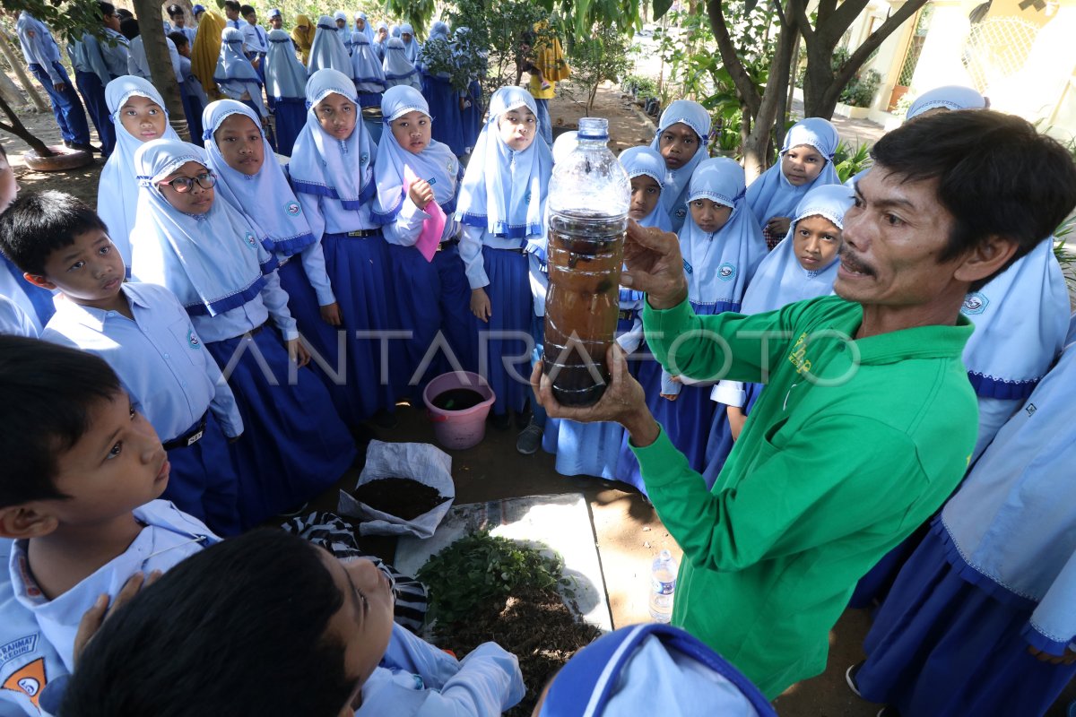 Pendidikan Lingkungan: Kunci Masa Depan Bumi?