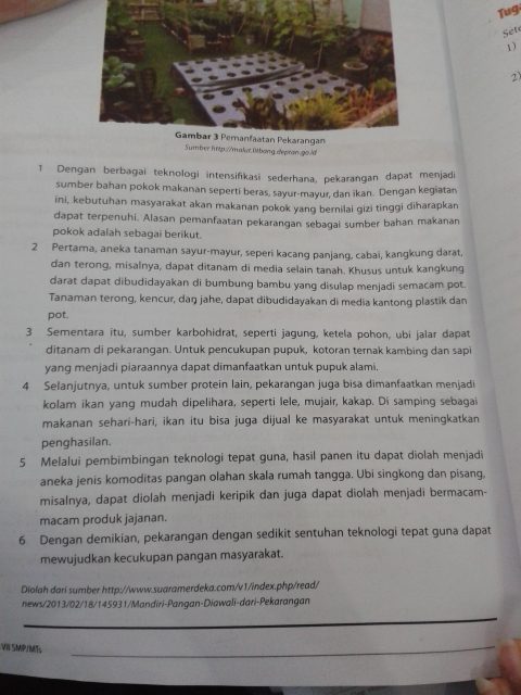 Pemanfaatan Ecobrick: Lebih dari Sekadar Batu Bata Ramah Lingkungan