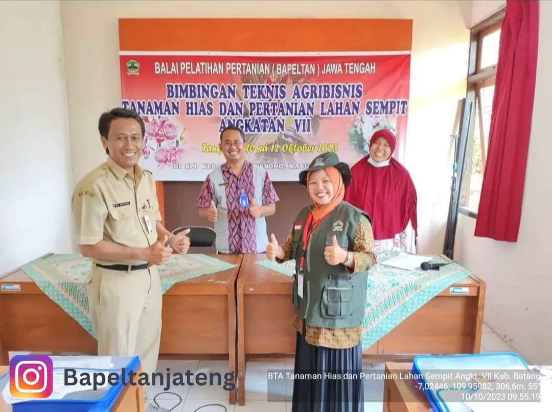 Tanaman Hias di Lahan Sempit: Solusi Hijau untuk Ruang Terbatas