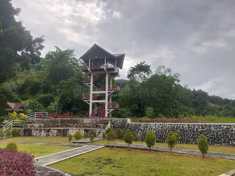 Kebun Raya Kendari: Oase Konservasi di Jantung Sulawesi Tenggara