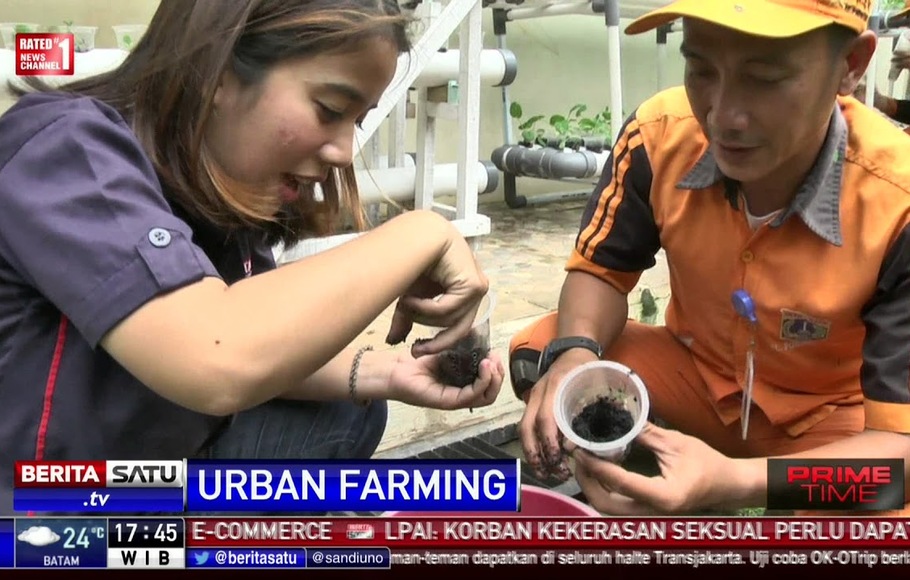 Metode Urban Farming: Menjelajahi Potensi Pertanian Kota