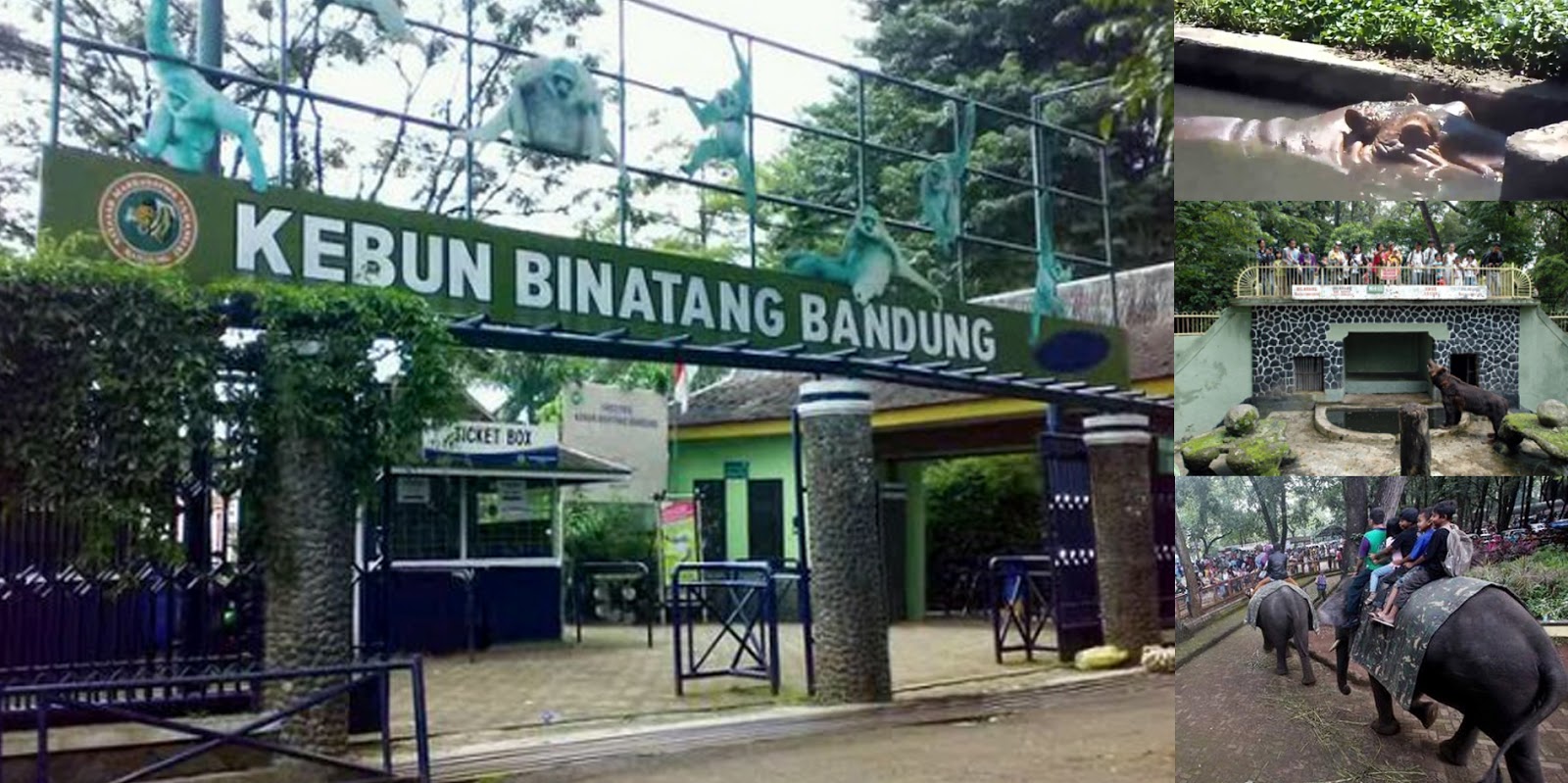 Kebun PKK Taman WOW: Potensi dan Inovasi Urban Farming di Bandung