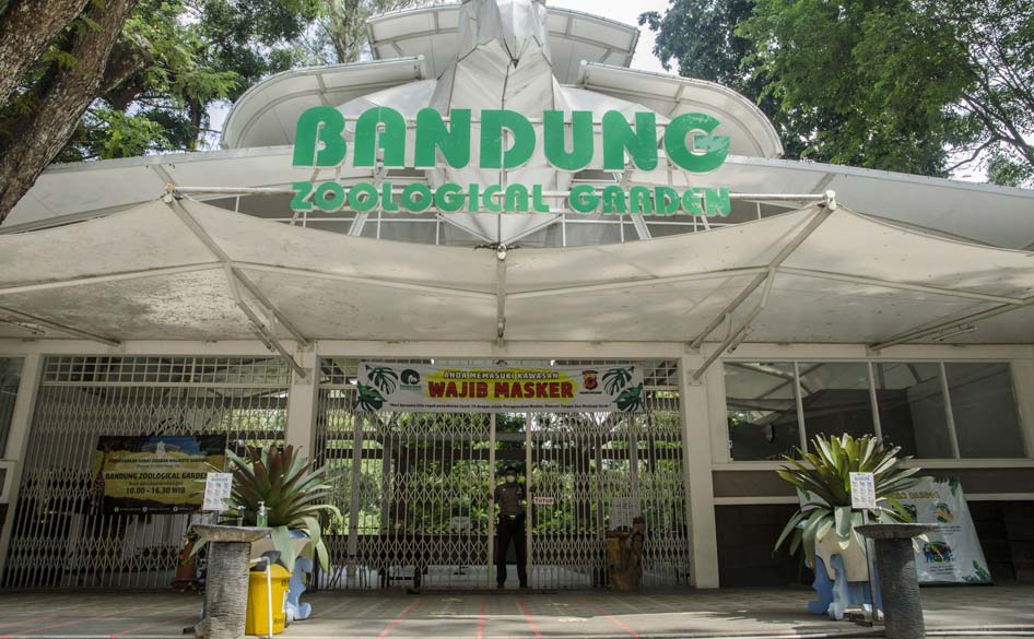 Kebun Binatang Bandung: Lebih dari Sekadar Koleksi Satwa?