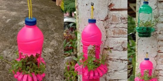 Pot dari Botol Bekas: Kreativitas Ramah Lingkungan