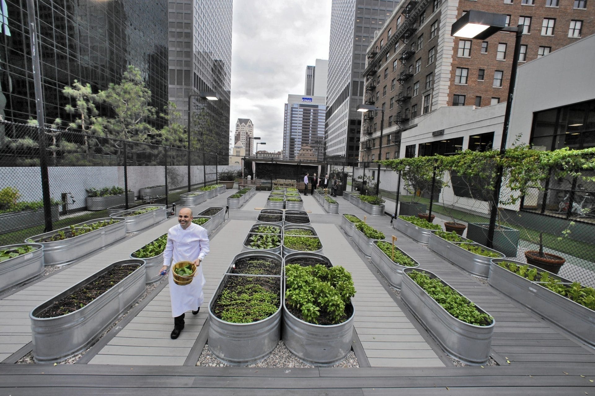 Urban Farming: Solusi Pangan Masa Depan atau Sekadar Tren?