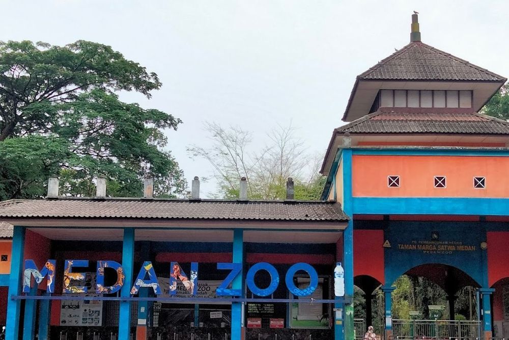 Kebun Binatang Medan: Lebih dari Sekadar Koleksi Satwa?
