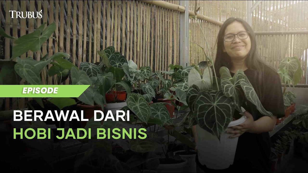 Siapa Saja Pengusaha Sukses Tanaman Hias?
