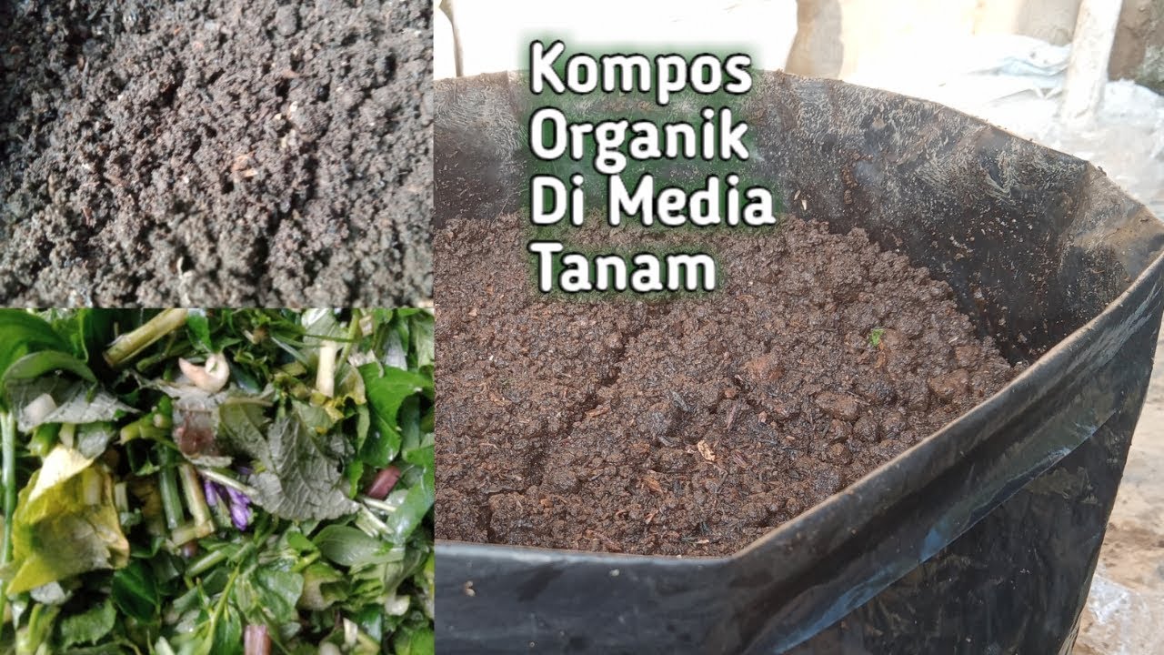 Mengapa Kompos Organik? Tujuan dan Manfaatnya