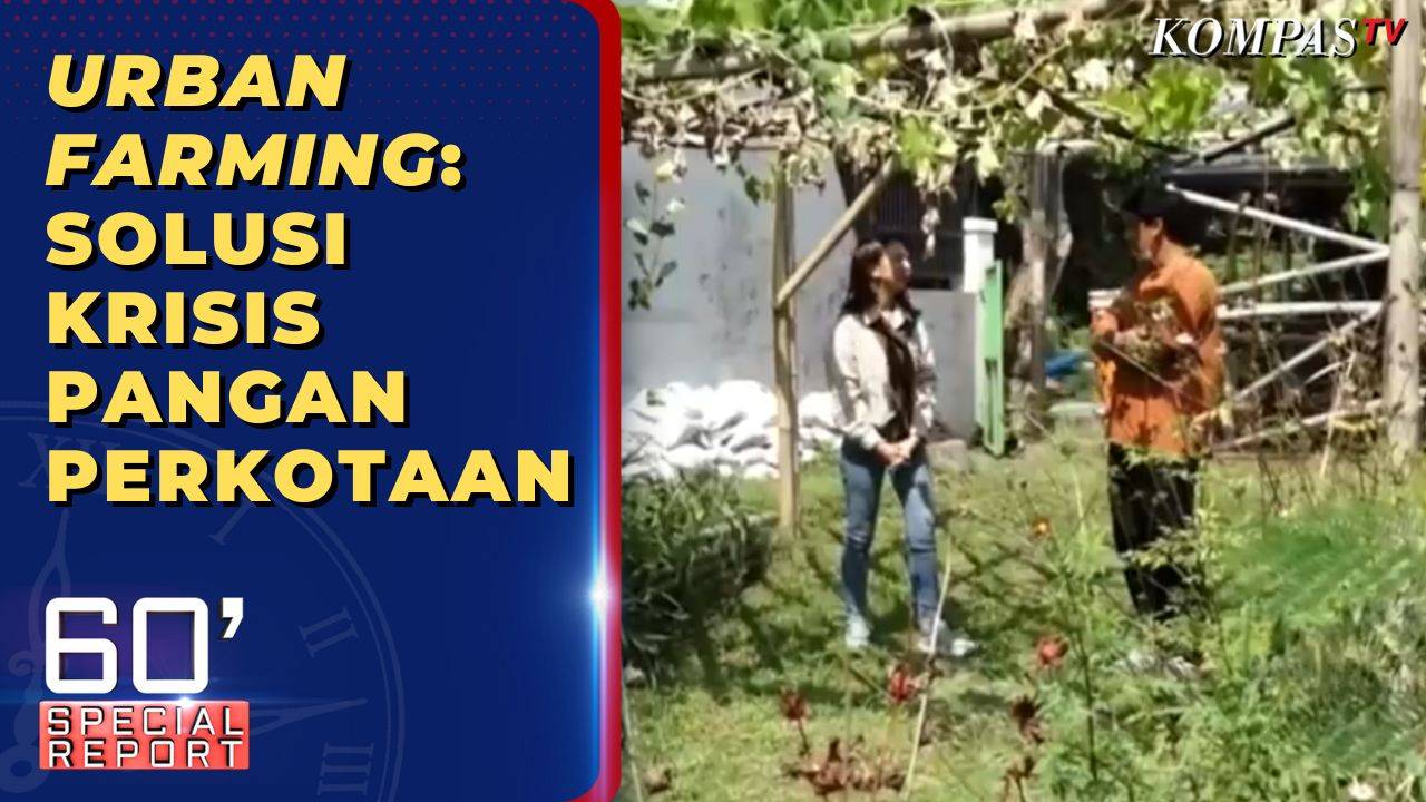 Urban Farming: Mungkinkah Jadi Solusi Krisis Pangan?