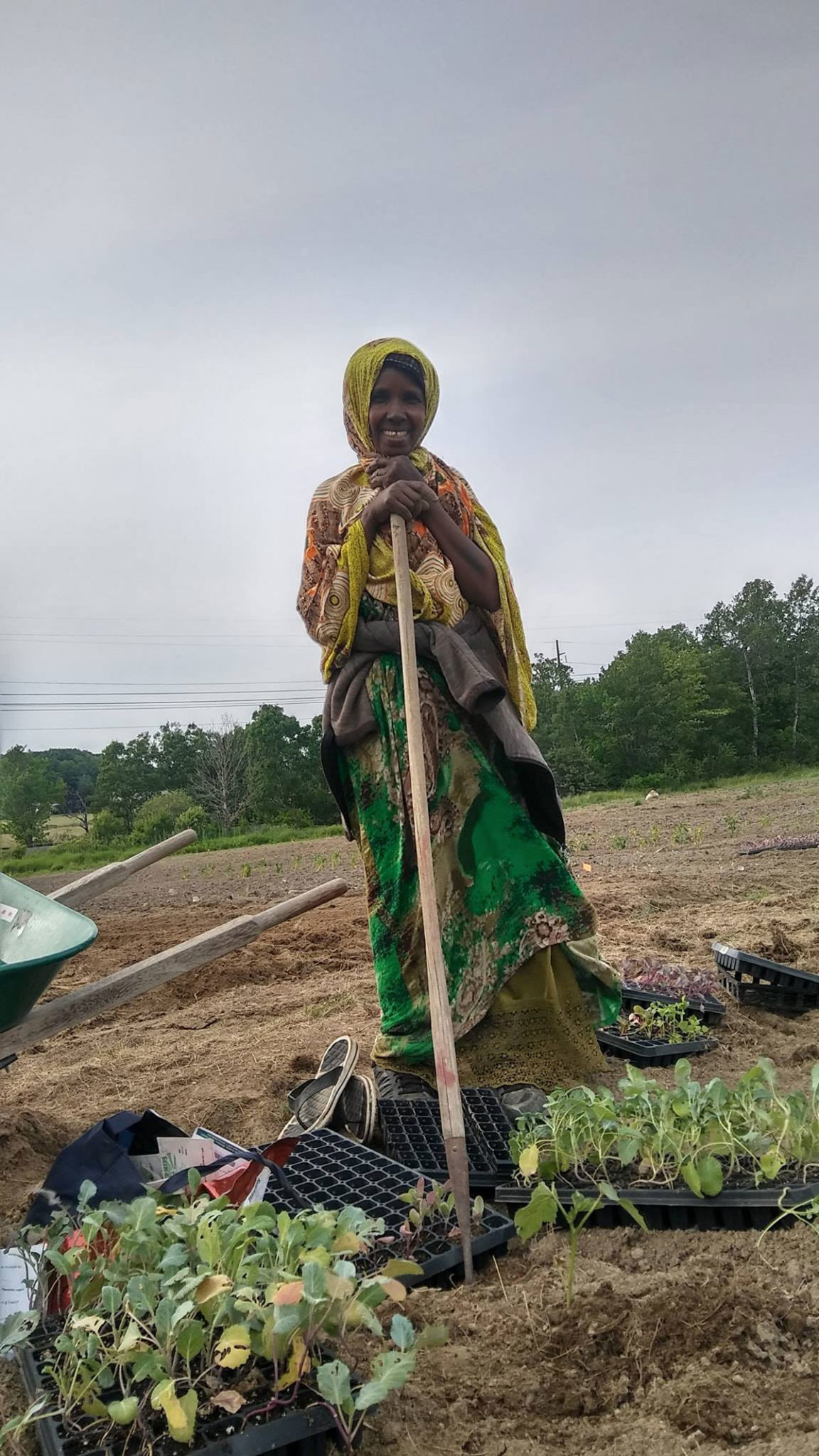 Urban Farming Co-op: Solusi Pangan dan Komunitas di Tengah Kota?