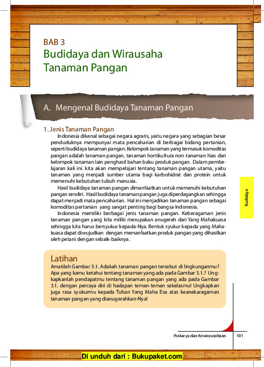 Wirausaha Budidaya Tanaman Pangan: Peluang dan Tantangan?