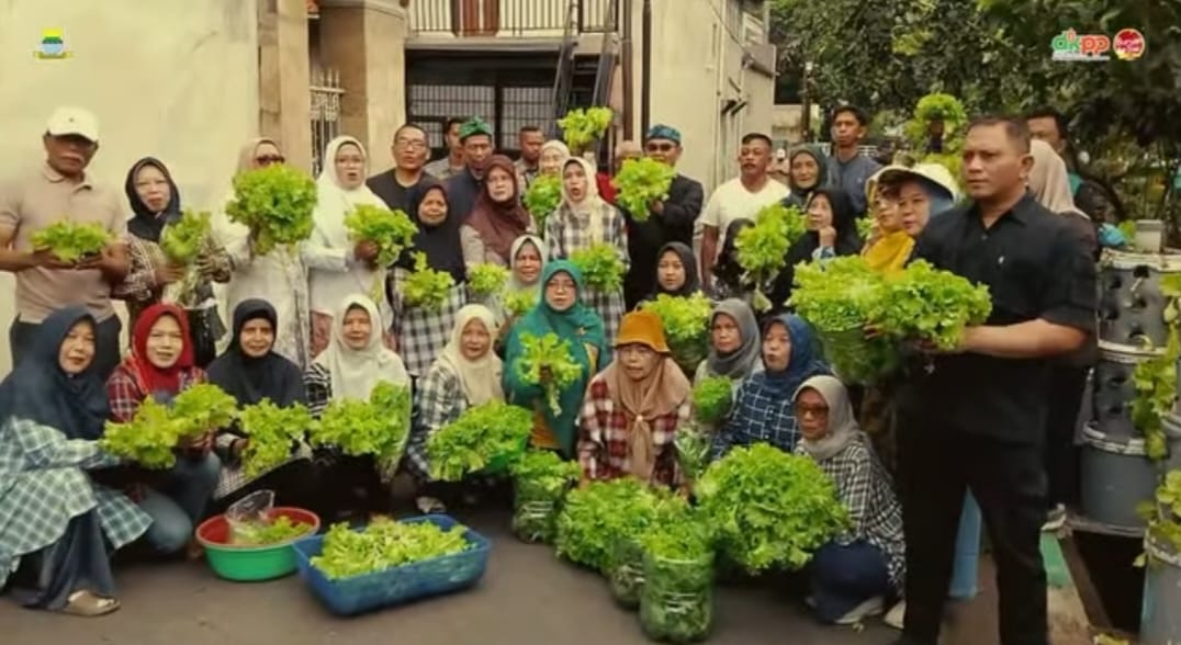 Urban Farming Bandung: Solusi atau Sekadar Tren?
