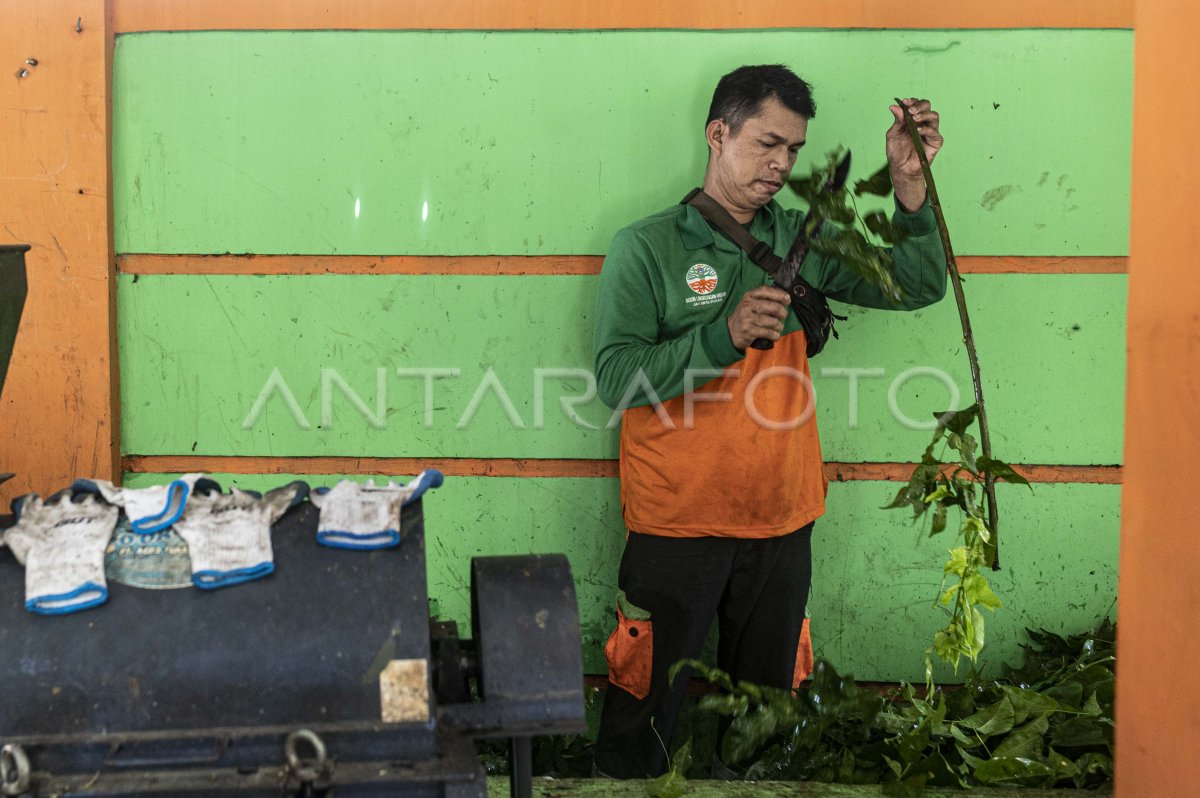 Siapa Pengurai Sampah Organik di Komposter?