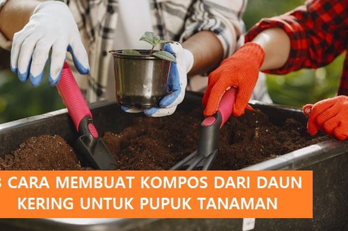 Komposter: Solusi Praktis untuk Pupuk Alami Berkualitas?