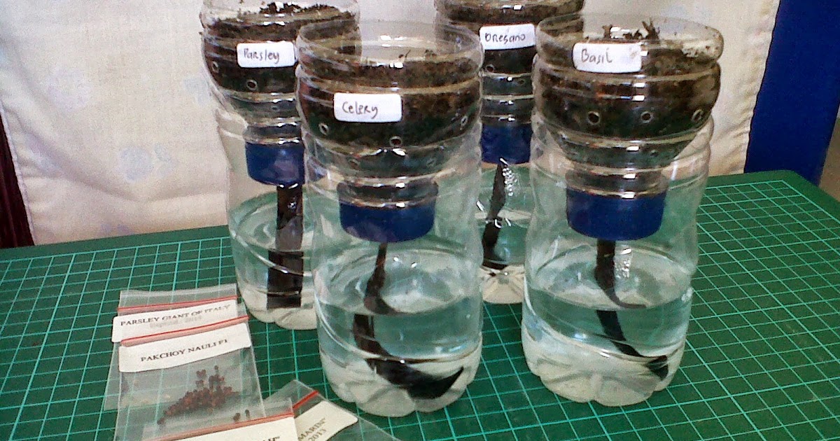 Daur Ulang Botol Aqua: Solusi Lingkungan dan Peluang Ekonomi?