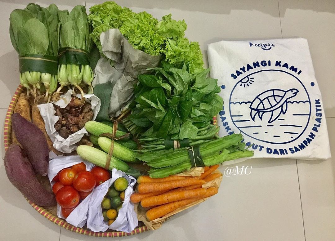 Ide Kreatif: Contoh Recycle Plastik di Sekitar Kita