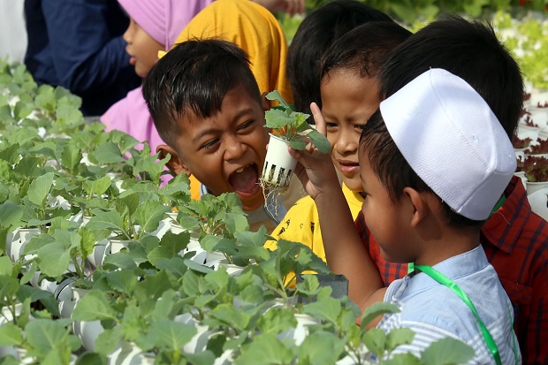 Urban Farming di Sekolah: Menumbuhkan Pembelajaran dan Ketahanan Pangan
